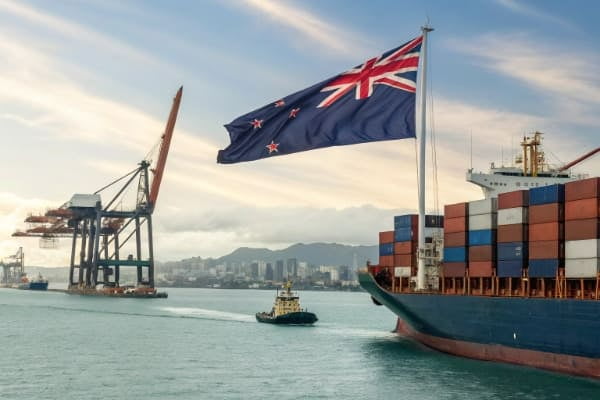 Shipping from China to New Zealand: Costs, Rules, and Best Shipping Methods