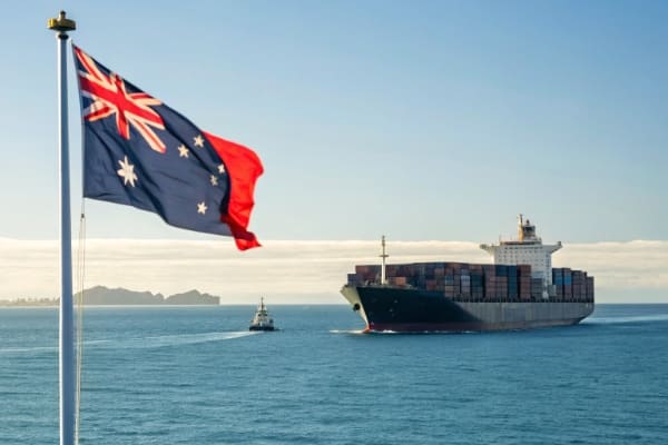 A container ship sailing on the ocean with China and New Zealand flags in the background