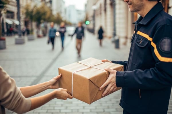A small parcel being handed over by a courier for express delivery